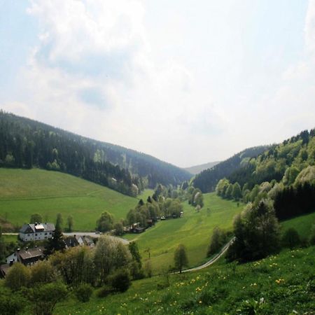 Large Holiday Home In Willingen With Private Garden And Several Terraces Exterior foto