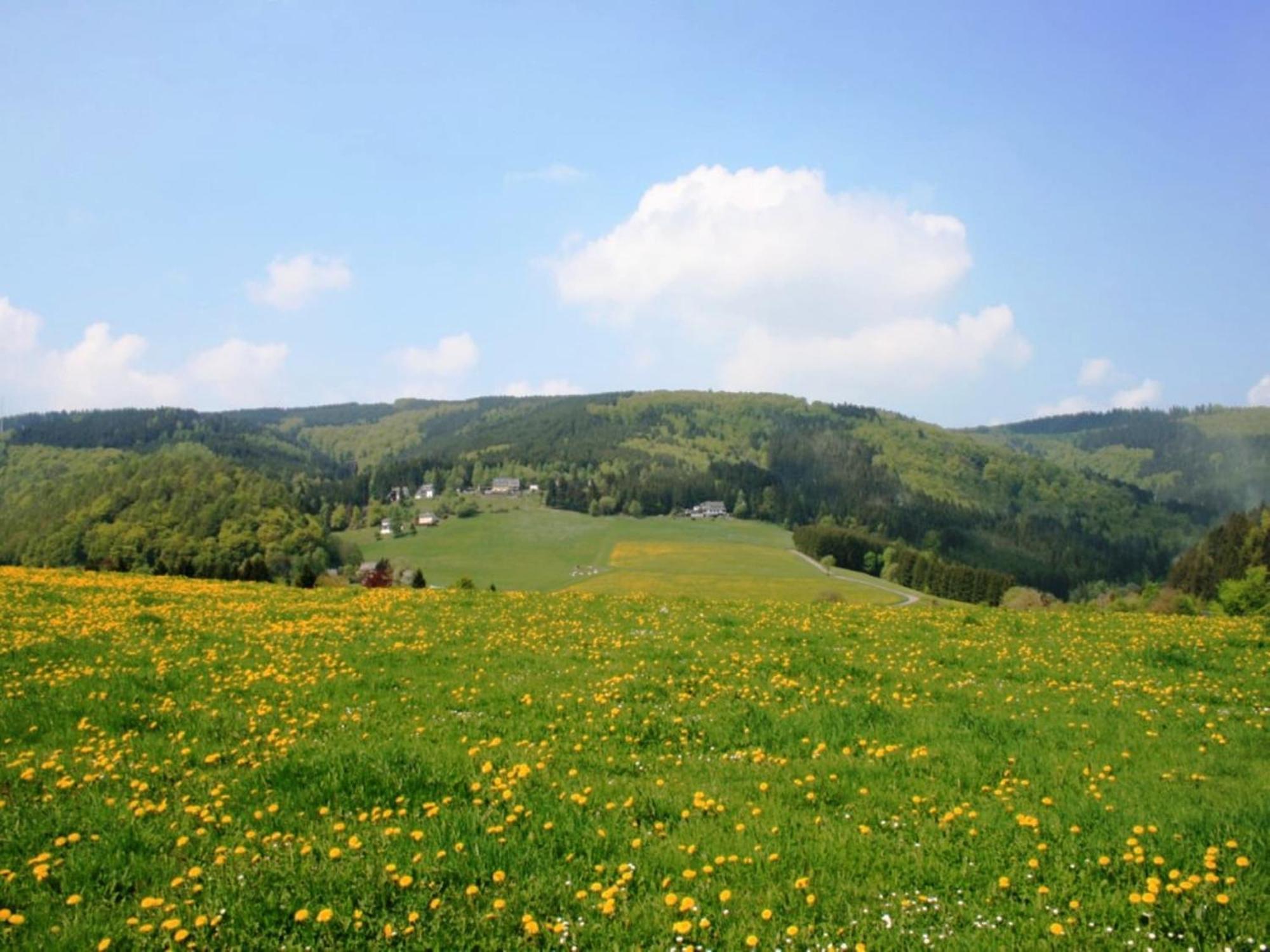 Large Holiday Home In Willingen With Private Garden And Several Terraces Exterior foto